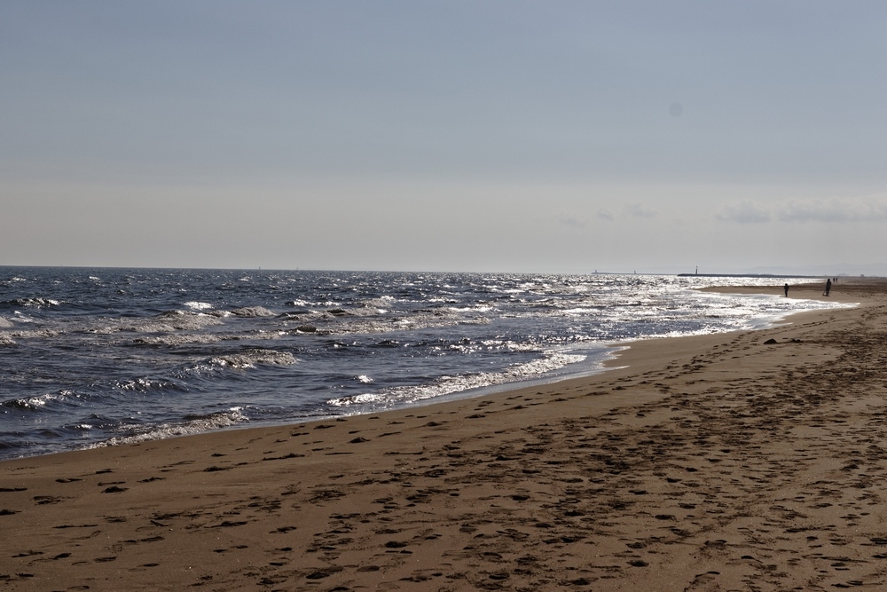 plage.jpg.2ffc4eb21a13ce24569d0be337c453b0.jpg