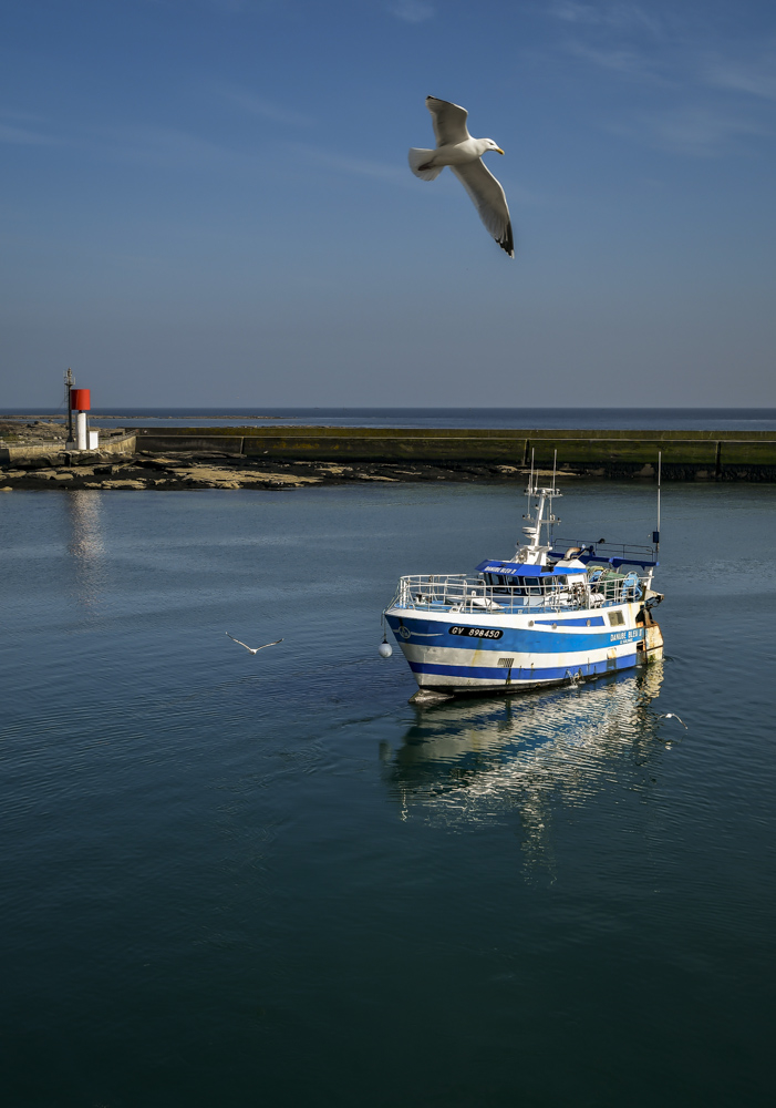 28032019-_DSC2544.jpg.4e724705e65d0ee083b3913ad20a8d3e.jpg