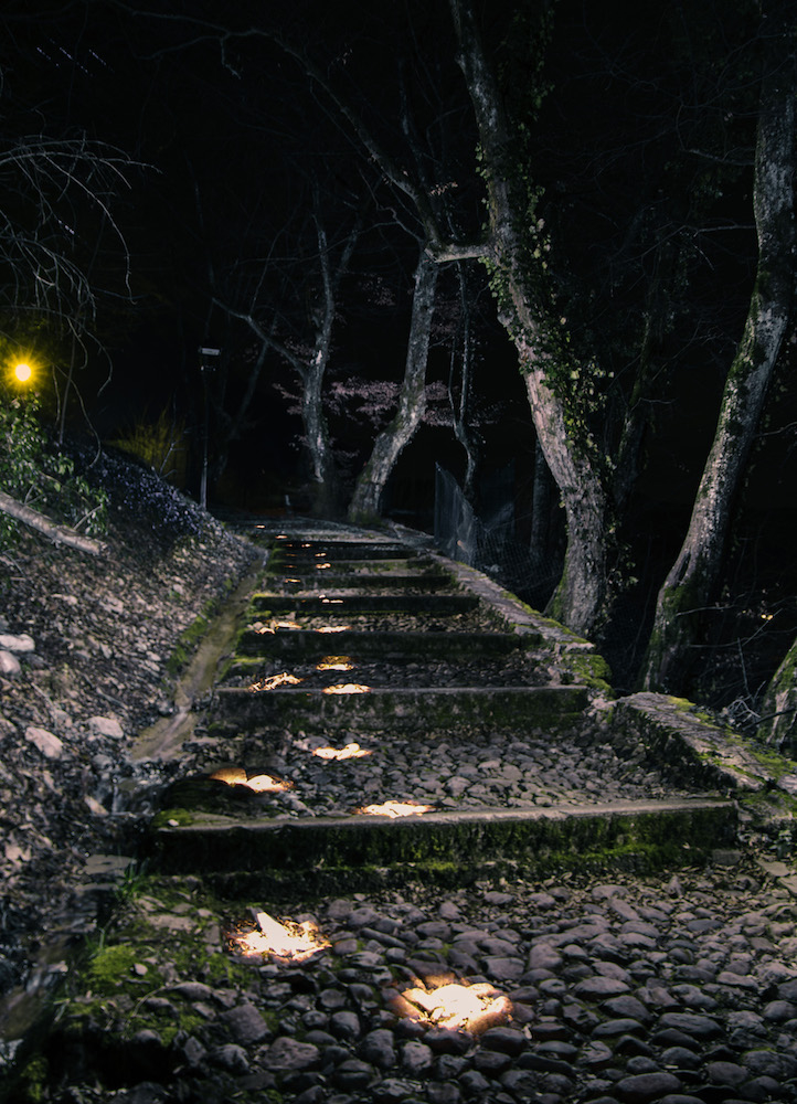 Escalier_ChateauFaverges.jpg.06d92bbd7e298f228b1aca9d8ada6d08.jpg