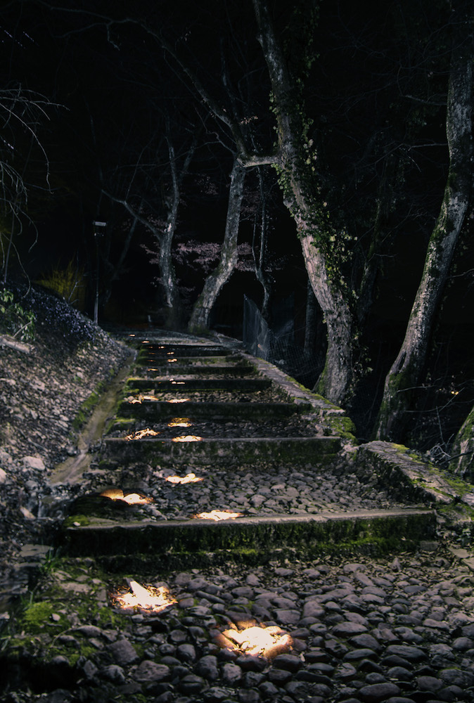 Escalier_ChateauFaverges.jpg.b52beb428eb27847687cba2bfd2d4651.jpg