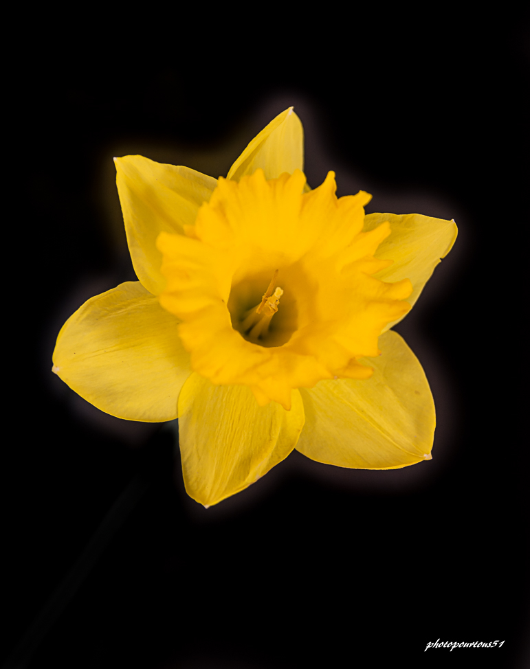 _-4.jpg.29158c878fc50b83197b16b49ec06dc6.jpg