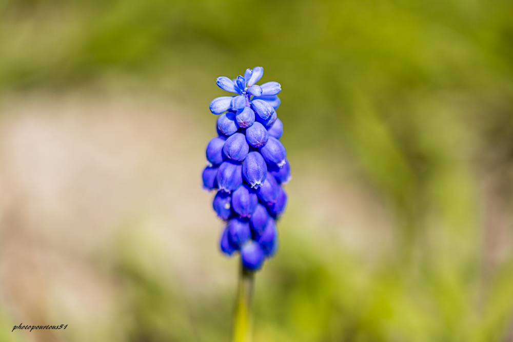 _-8.jpg.946b068cbd2d537b65be8f07f9cc0ddc.jpg
