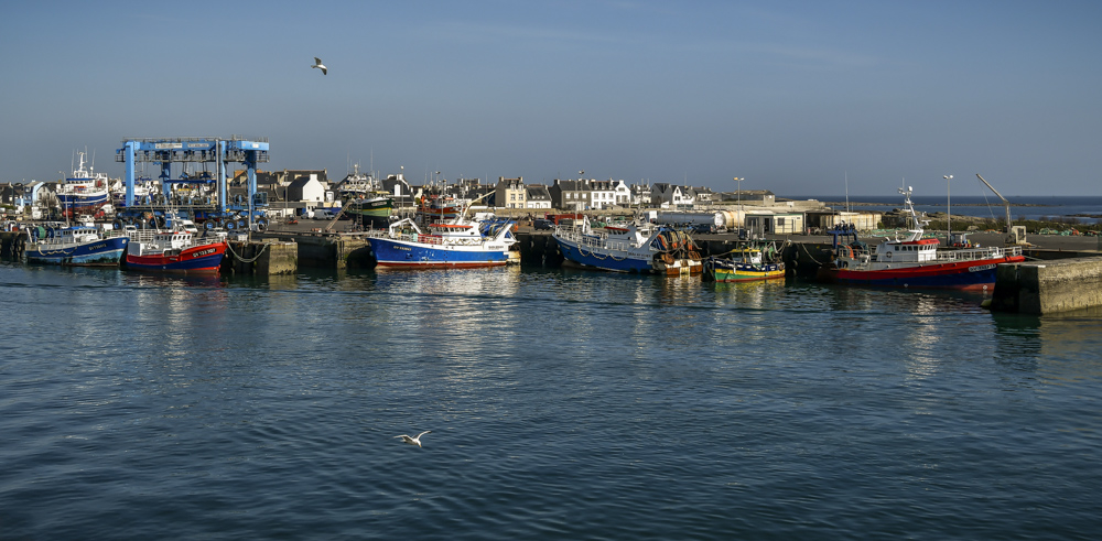 28032019-_DSC2526.jpg.9decf7384eb2fd7af2a81fb874e57697.jpg