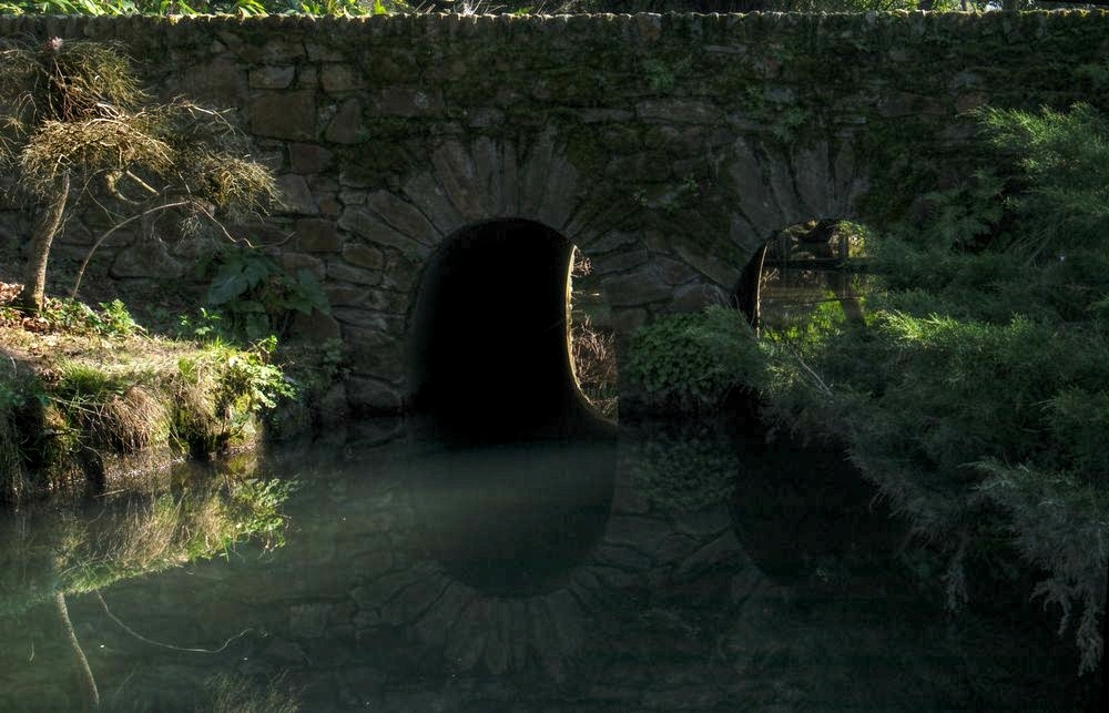 P1090484R.jpg