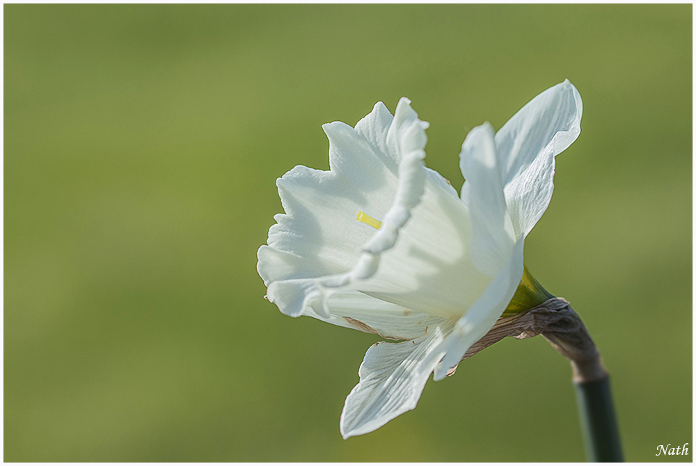 Transparence.JPG.54358377469e8e2ea2a268eece73eb31.JPG