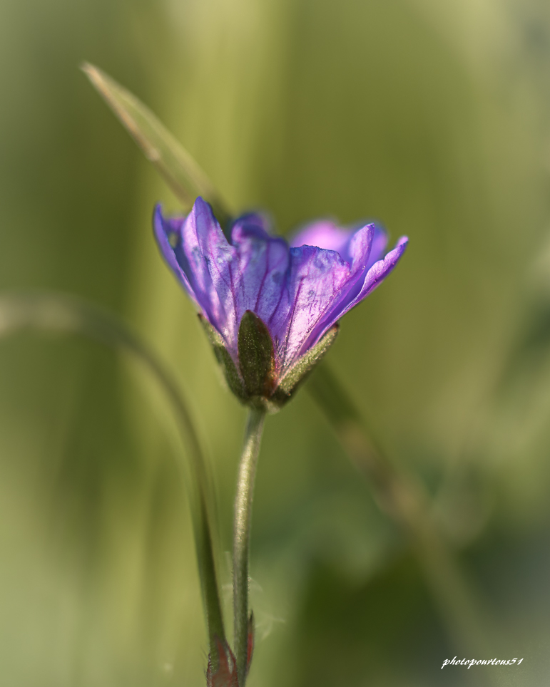 _-4.jpg.57f30e277e875440a0b15b02674bdf91.jpg