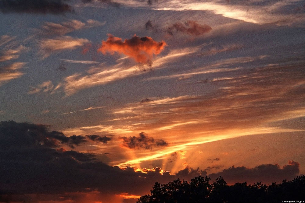 1560656549_IMG_0420_DxOA.jpg.d93ef9572d529e72c29a61836fafc276.jpg
