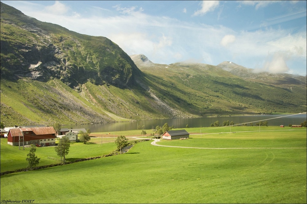 1679191941_Norvge.jpg.7d2a86d7324ac55f5fdabb2d45b0de4c.jpg
