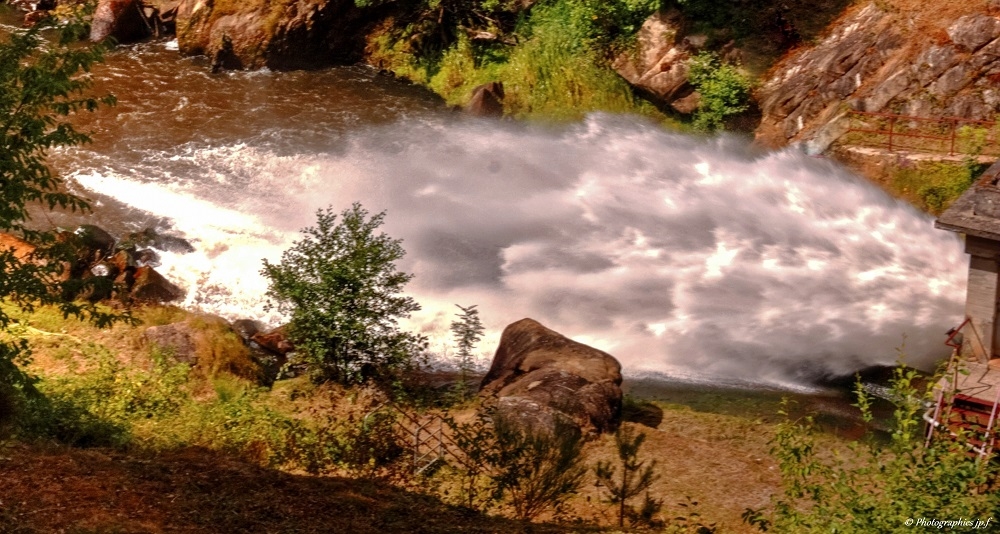 244132747_IMG_3984_DxOA.jpg.89cc5b310992ddb09e6e5fc96b96ae88.jpg