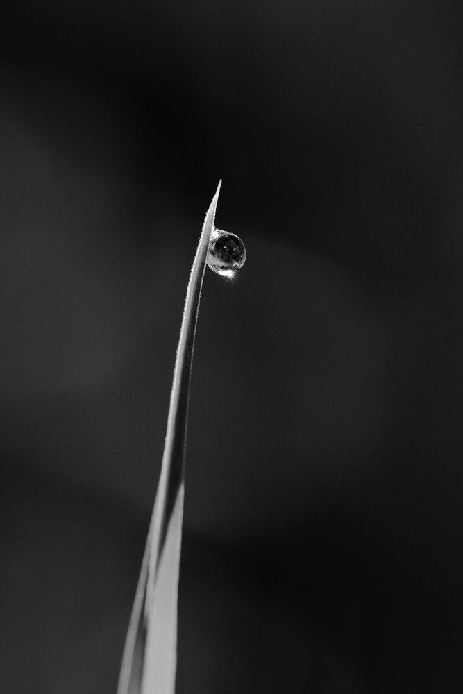 2G6A1040.JPG.f3f36f41084c052cb7756b51ae632f6a.JPG
