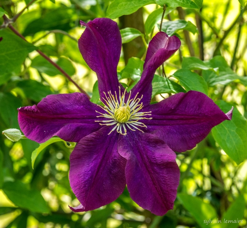P1020550.jpg.b546df0dda811213a415d14f442ce0cc.jpg
