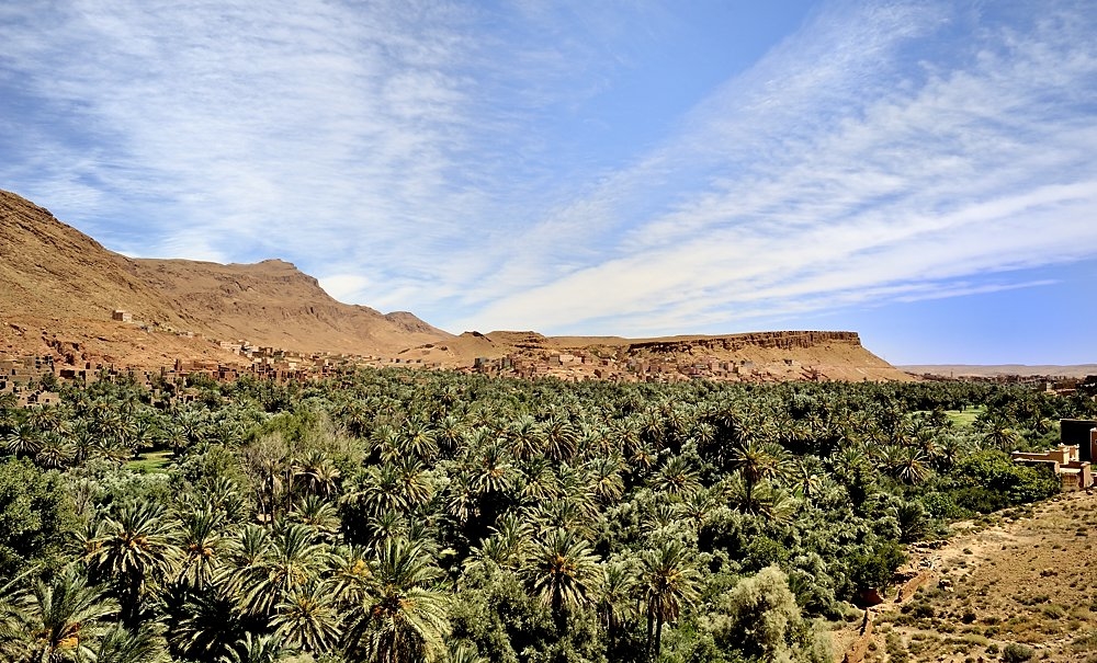 _DSC7243.jpg.db90aed615b2fa324bc18d441a10432a.jpg