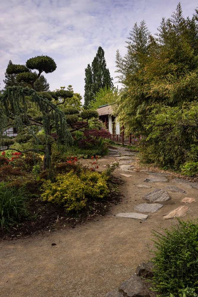 follow-the-path.jpg.302c41bda36bae29ddcb7fb190c01564.jpg