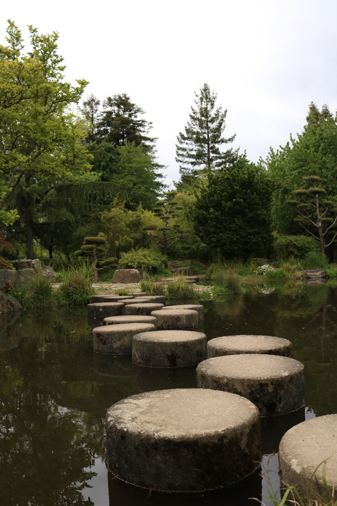 japanese-garden2-ori.jpg.3f066ff87797706bf4bf74bc69ec78e7.jpg