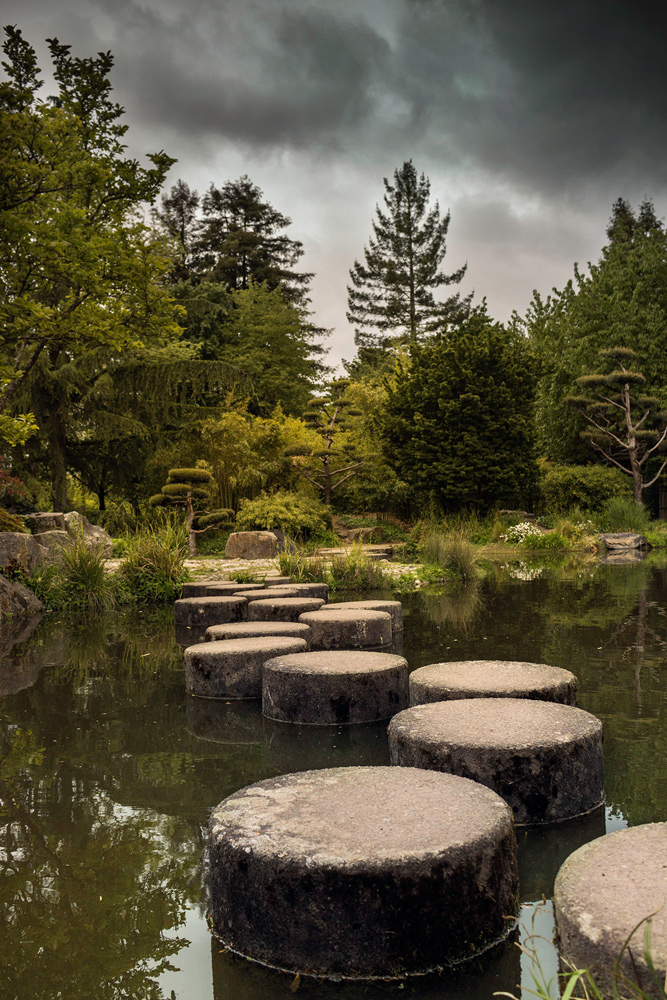 japanese-garden2.jpg.325ca9e2019735eeb1b1c131e3da216a.jpg