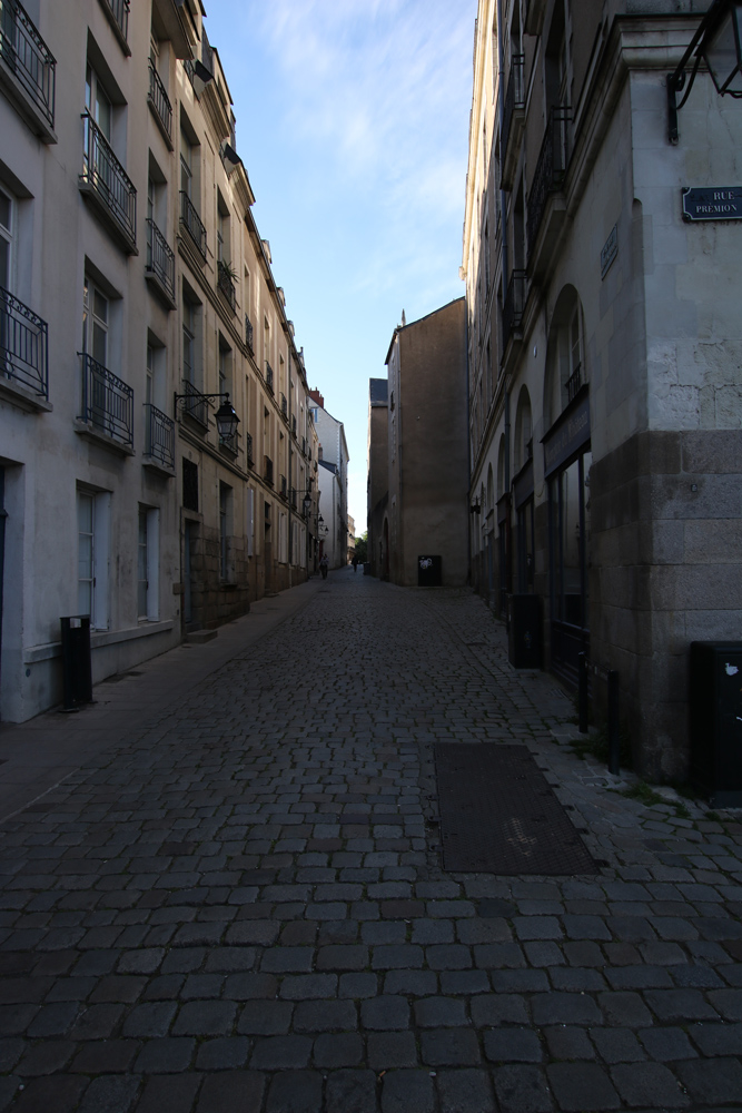 rue.jpg.b1017af37f77350aad860ea12cacc3b4.jpg