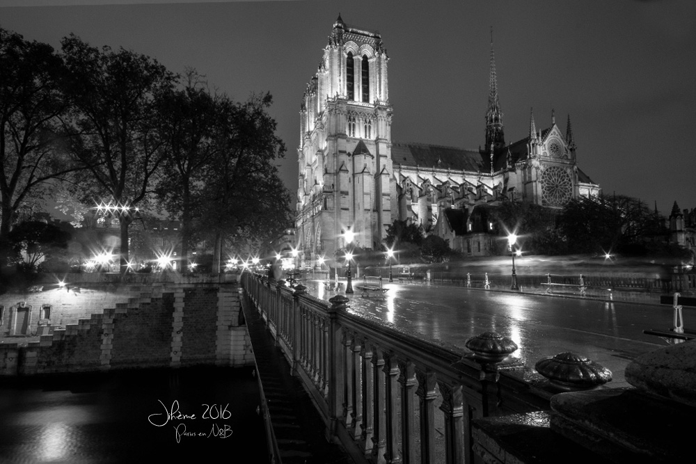 2122245392_2016parisennbND.jpg.2aa726fdb67b673b16275737989ad4bd.jpg