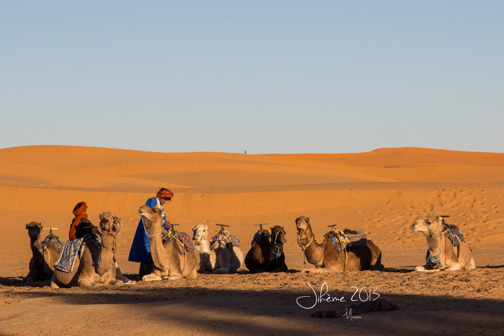 330330359_20130112merzouga01.jpg.8aa2092248c06fe444a602005099c919.jpg