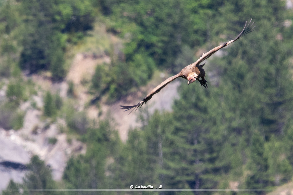 7d-5077.jpg.31c78aaad6f0159b5ae5c68b0c5af8b8.jpg