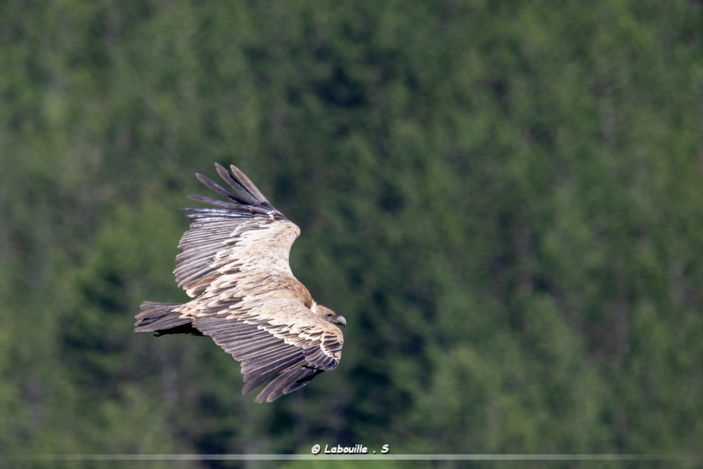 7d-5089.jpg.6fc47d138e1c84e9788c07d4ec6370f7.jpg