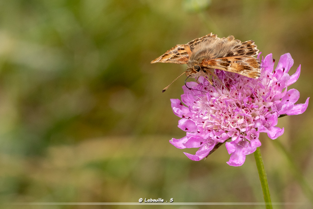 7d-5157.jpg.640b3ffbe8f1338887d1d74a41330e34.jpg