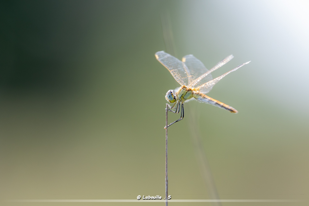 7d-5396.jpg.1b13ab56f11f7fac8b9530527395f74b.jpg