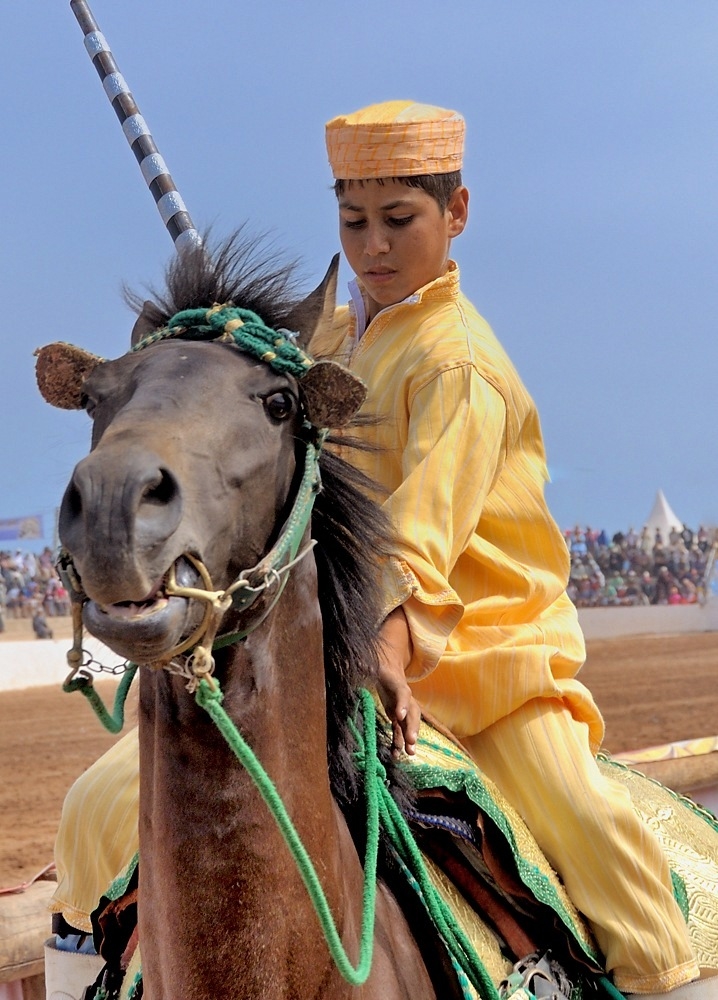 DSC_6704.jpg.fbf87d49257304b989645fccd0b3f258.jpg