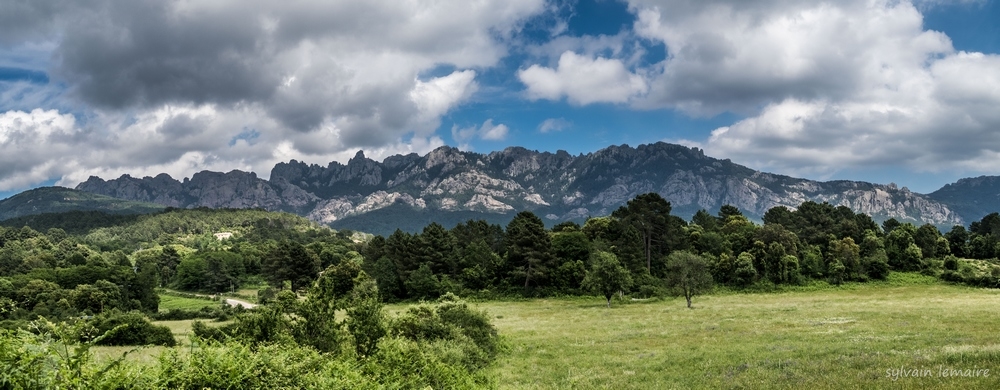 IMG_0216-Panorama.jpg.eeaac0ffec36cd7279df1dc55c0da8aa.jpg