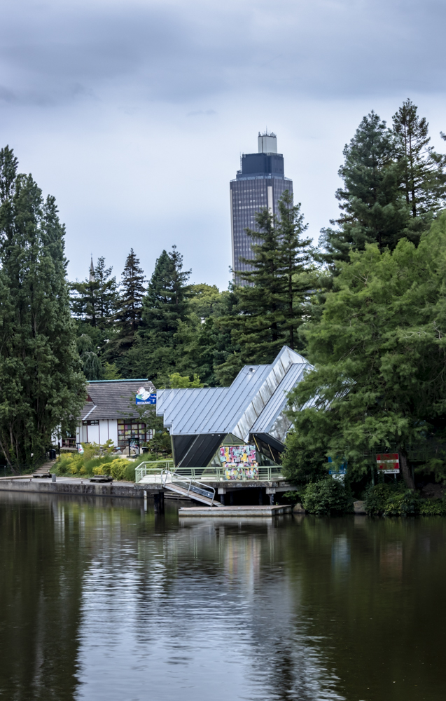 IMG_3673-HDR.jpg.b2b56a6a09d09dfe7bbf0b7d51c61bd7.jpg