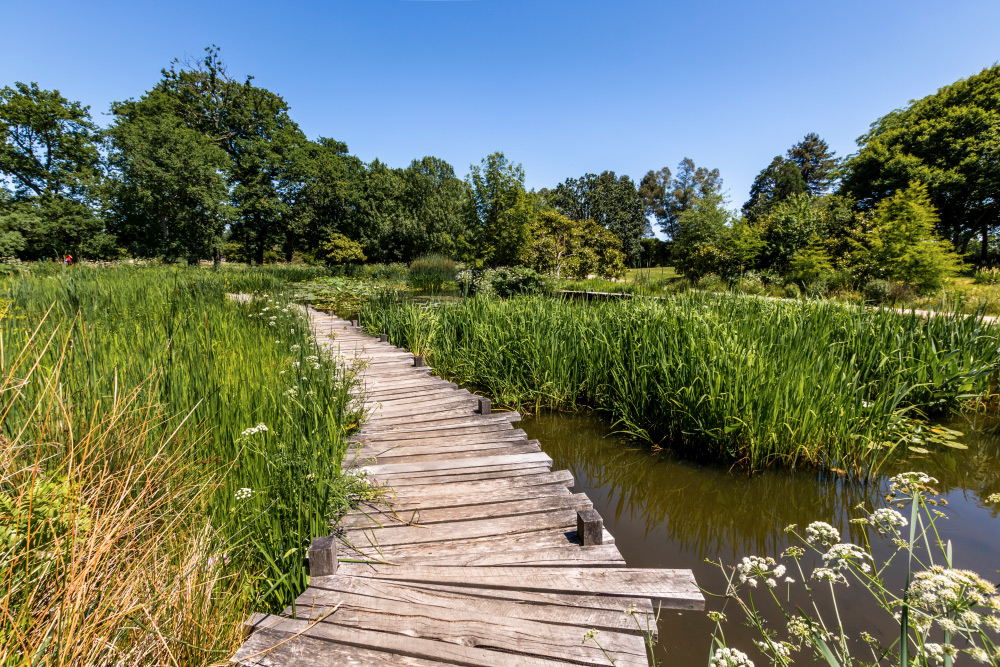 Parc-du-Grand-Blottereau-02.jpg.376af5717f6100e3df71fe956d0eeae6.jpg