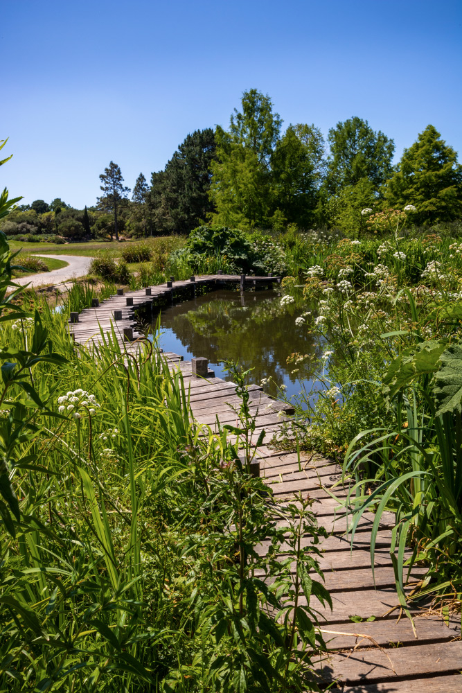 Parc-du-Grand-Blottereau-03.jpg.da1b39bf6544a12e119bdec9094fcac0.jpg