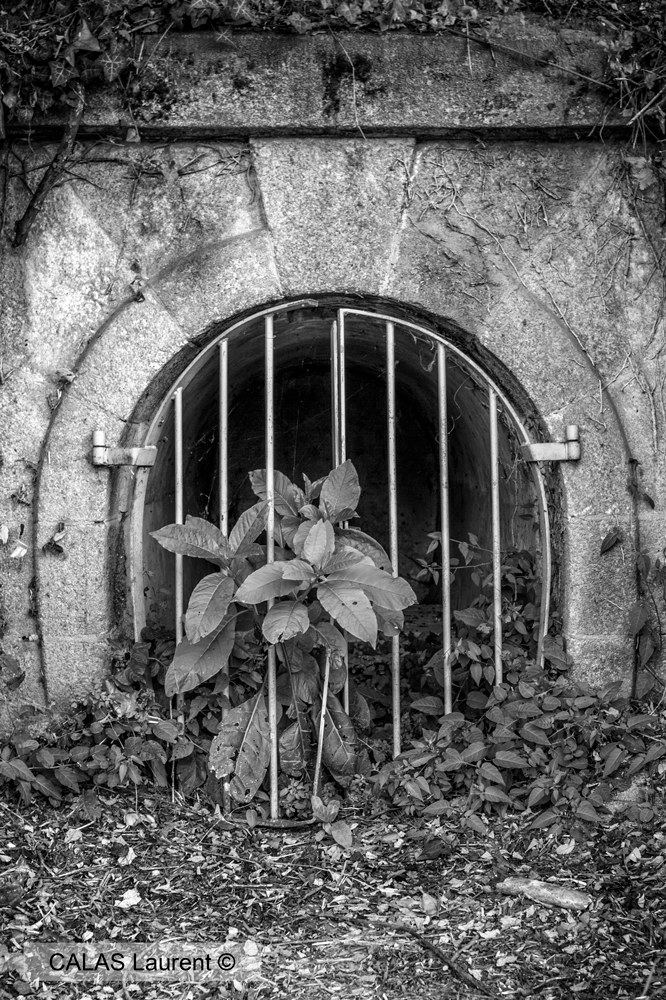 Prison.jpg.7d8a96a29a0854ad7e6513ddc32cc781.jpg