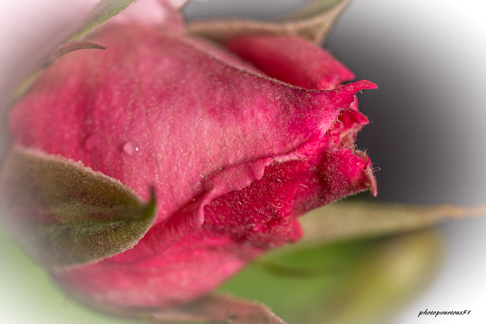 _-2.jpg.c6c2c52e4399abd6f15b3ac29172f3f0.jpg