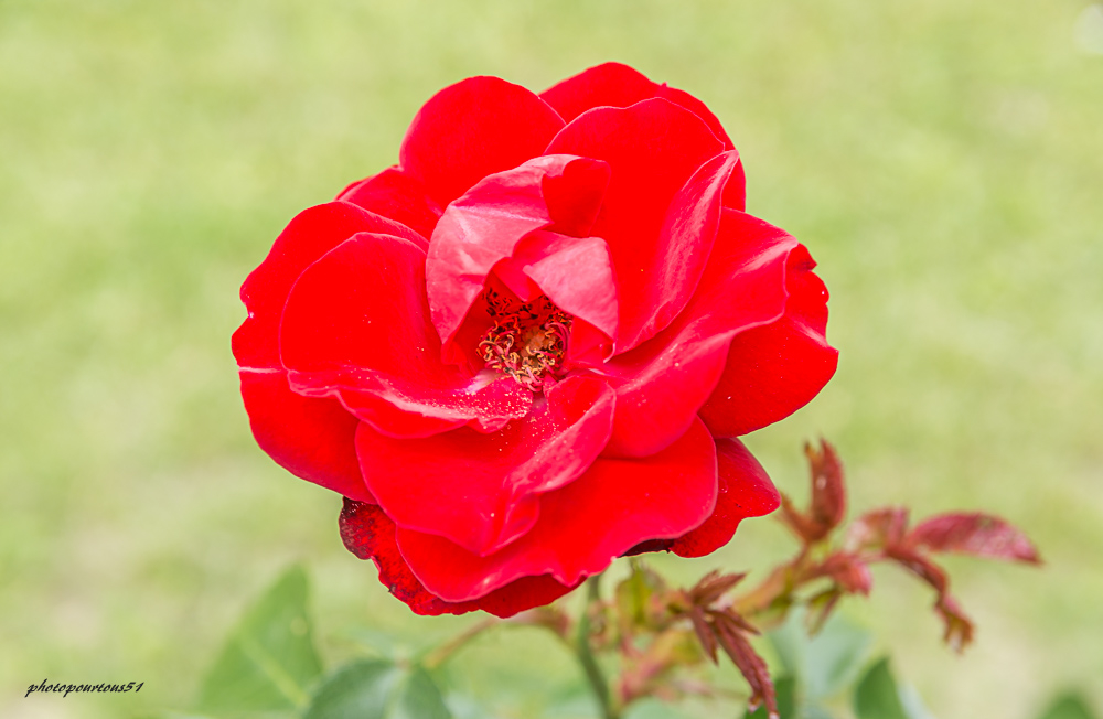 _-2.jpg.cd170ffeb77ee6cff2c4b4b842482104.jpg