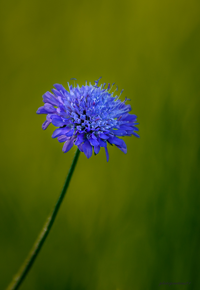 _-2.jpg.eccbca7c6f15be0099bb1f63be7798f4.jpg