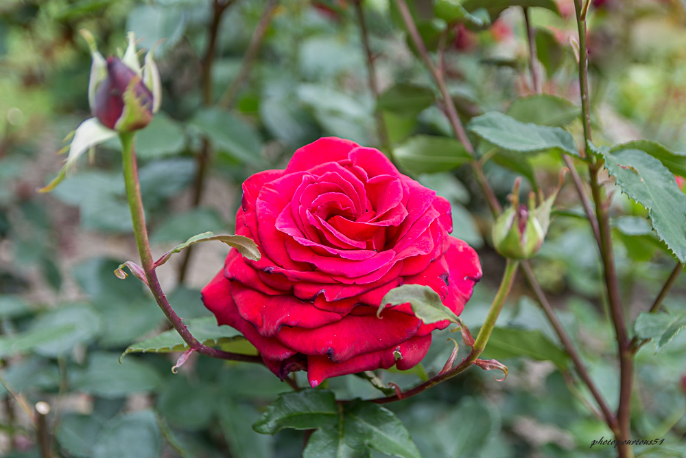 _-5.jpg.c4e27f078abbcb98f0493f9bf8575a02.jpg