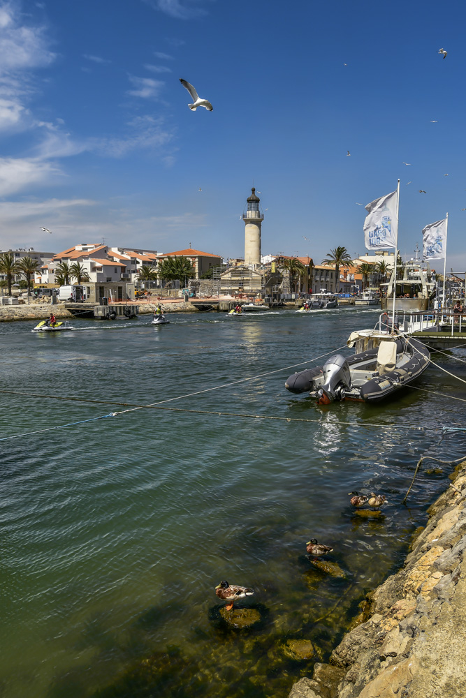 _DSC3201-3.jpg.838e49f559bd7f067226acd59ffe144a.jpg