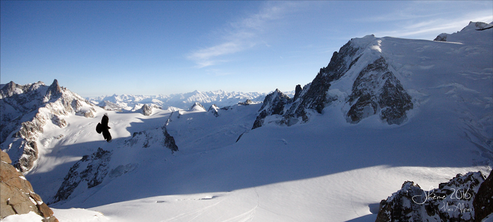 1163068561_2016ValleBlanche.jpg.aaa2d3127cc69bba8dd277e6cc54819a.jpg