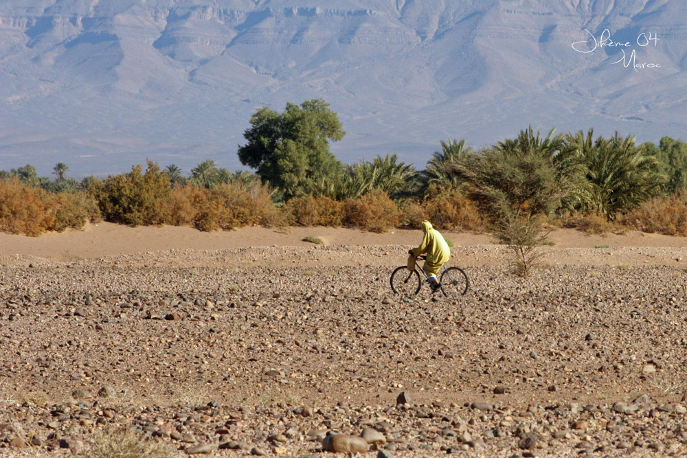 1365543612_MarocencouleursAbicyclette.jpg.b0a81840a3f01072070abad3ce8c407a.jpg