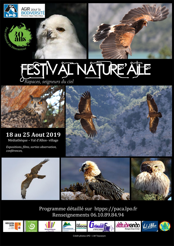 308454078_FESTIVAL_Natureaile_2019-1.jpg.cffaa5693c2c5cadfb71d5aaa6973679.jpg