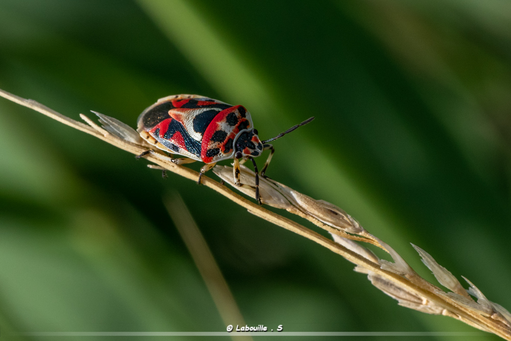 7d-5700.jpg.e3a595843f473e0c8485f254362fd651.jpg