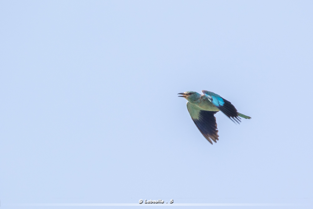 7d-6115.jpg.ff9ac2db4f7cdd8d8dc1ad9a4a463bec.jpg
