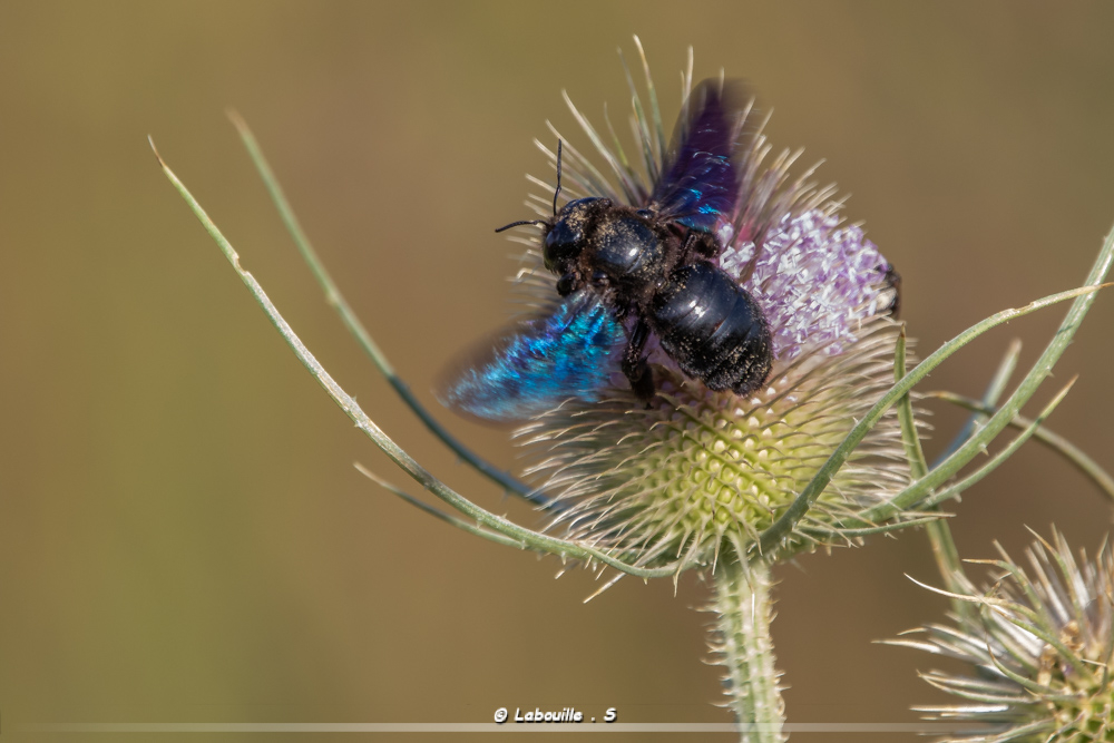 7d-6490.jpg.c6d1b234f129d3f7d9da6ff3436f0799.jpg