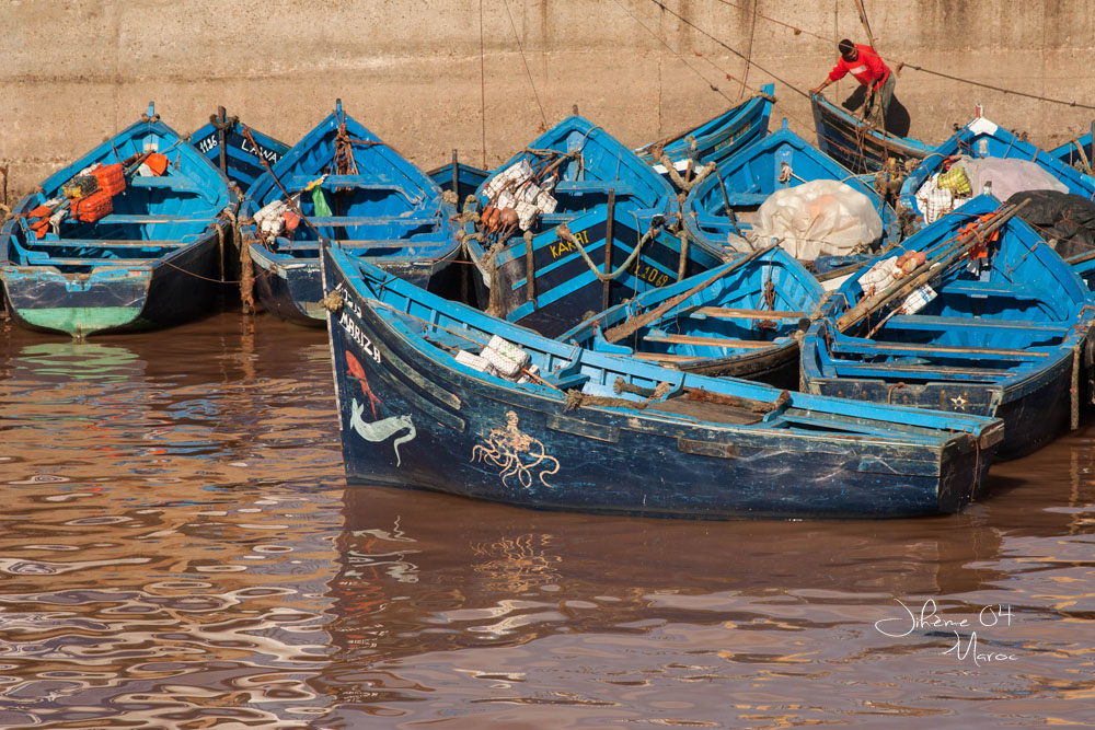 930364526_Marocencouleurs.Essaouira1.jpg.fe539bef9e9070fc27a64dbd63d1531b.jpg