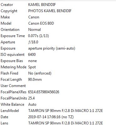 Capture.JPG.91eeccceb5efe69ae79316de0a655652.JPG