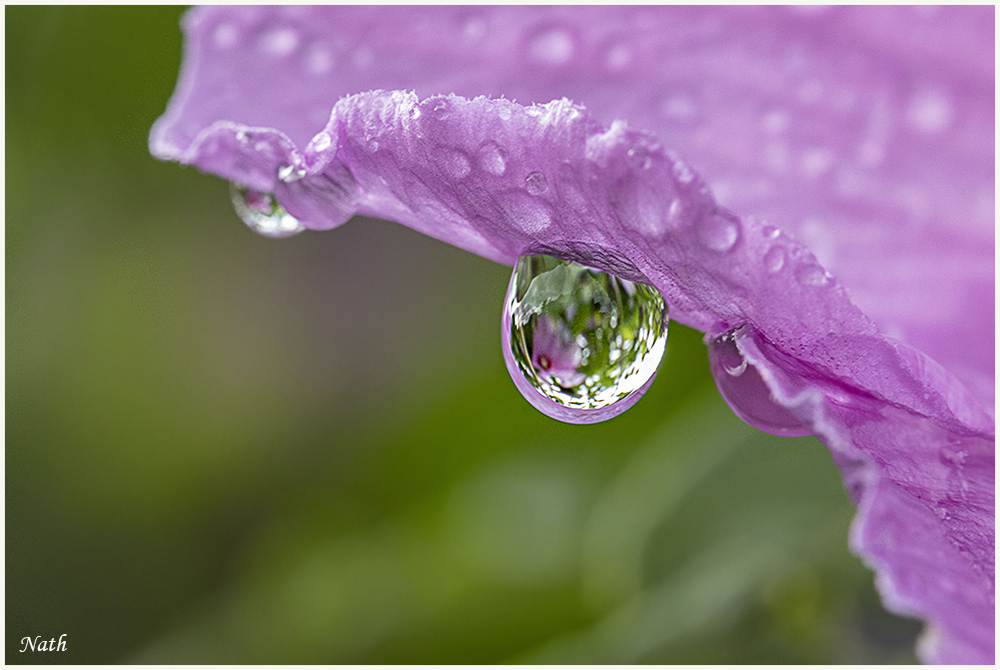 Reflets.JPG.b2c6f1587529bb403ee2bbe1c3b2dedc.JPG