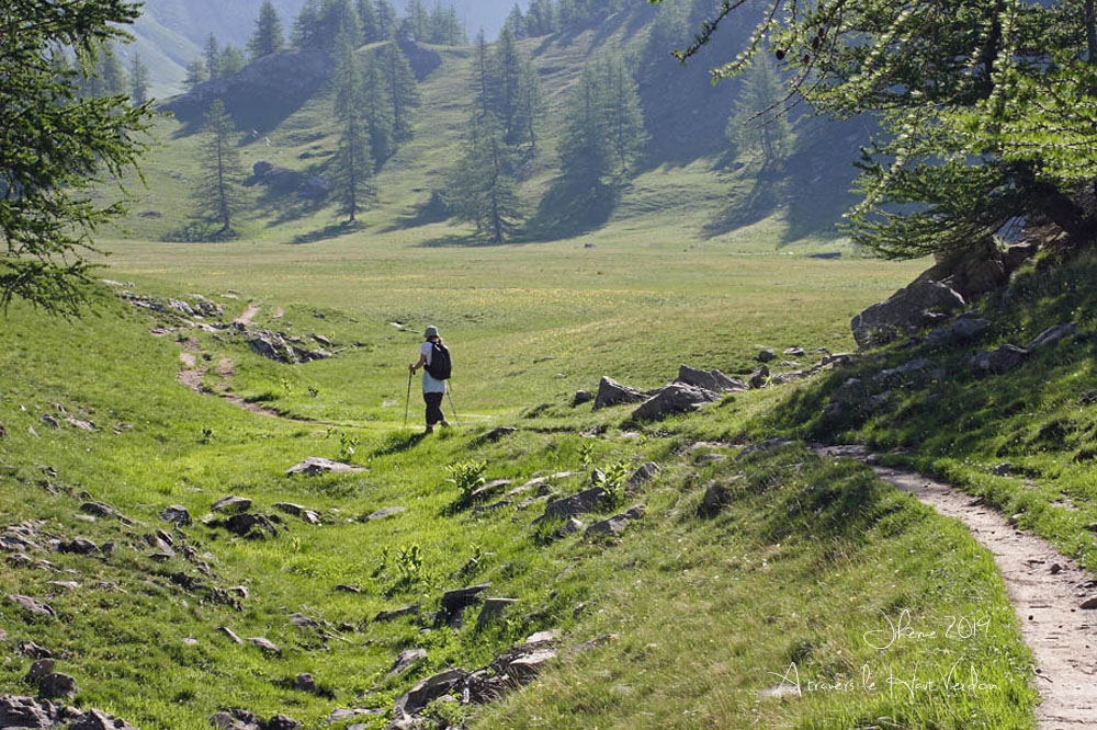 1434877188_2019hautverdon04.jpg.0a40d9f00c52041751a46ae219cf2d43.jpg