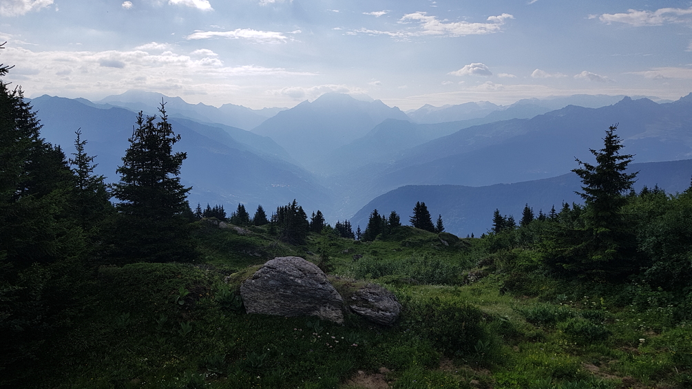 20180714_084610.thumb.jpg.296d0e54bf78b2f51a28997ebcf6c41f.jpg