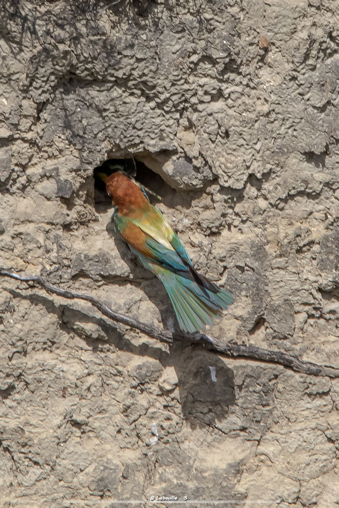 7d-6690.jpg.ccb0f6e20d1cf276b5e4cb2eb27a62f2.jpg