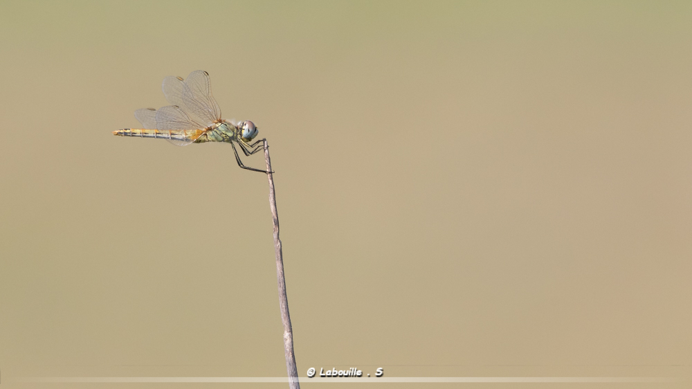 7d-6948.jpg.1d256b79ec3093b3ce29499ae121cefd.jpg